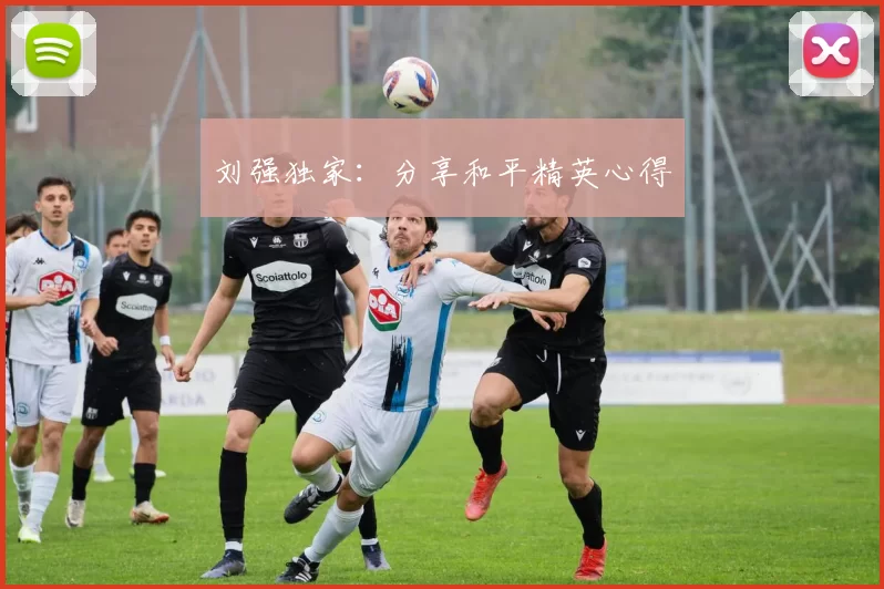 刘强独家：分享和平精英心得