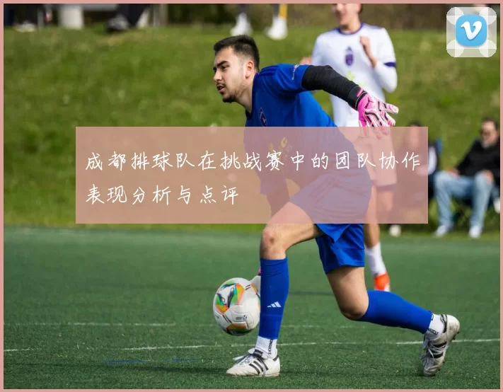 成都排球队在挑战赛中的团队协作表现分析与点评