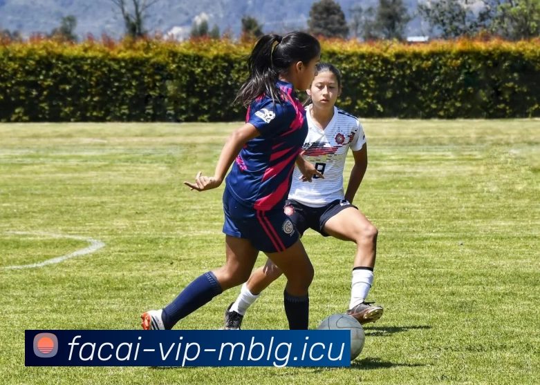 乐竞体育服务体系