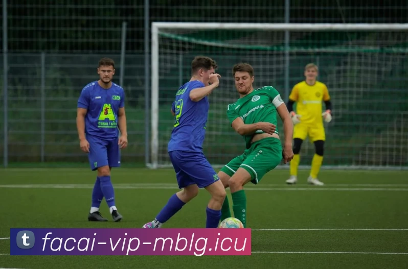 乐竞体育APP 体育赛事宣传图